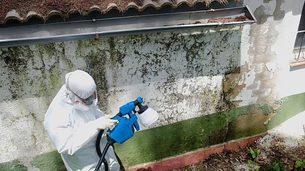 Top rated local Commercial Mold Remediation specialists in White Plains, NC